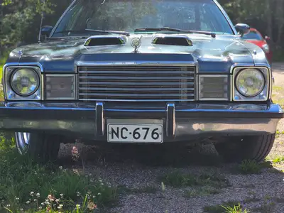 Dodge Aspen, ilmoituksen kuva
